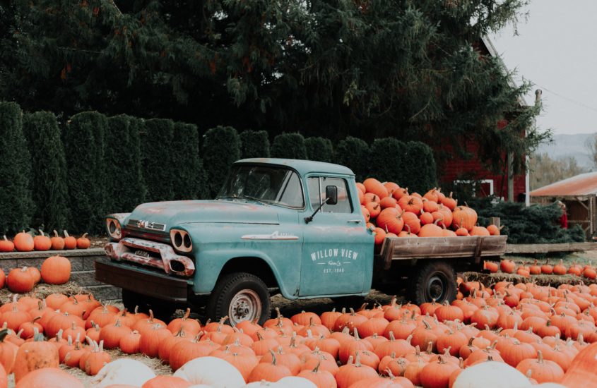 The Pumpkin: Fall’s Favorite Fruit