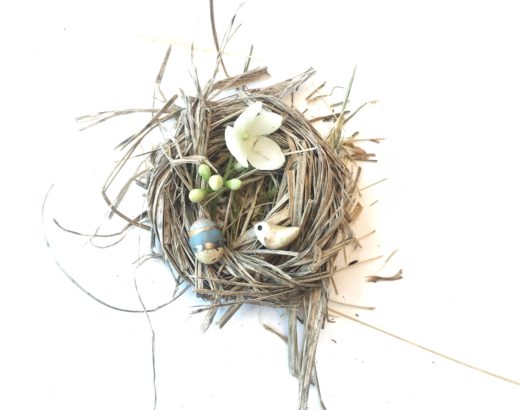 The Busy and Slow Days of an Empty Nest