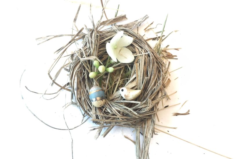 The Busy and Slow Days of an Empty Nest