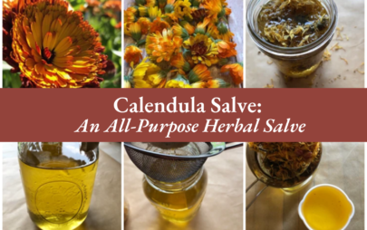 Calendula Salve: An All-Purpose Herbal Salve