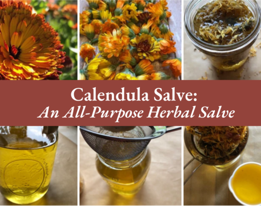 Calendula Salve: An All-Purpose Herbal Salve