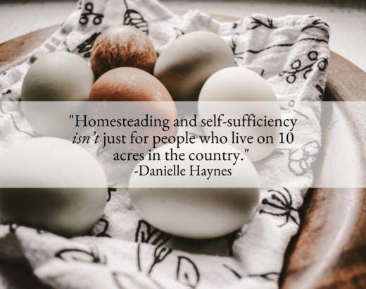Beginner Homesteading: Getting Started in the New Year