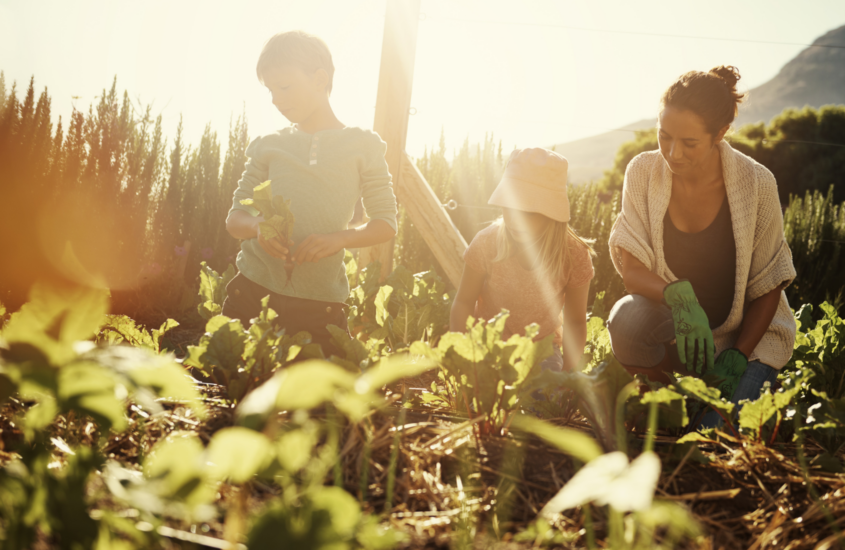 The Lost Art of Mentorship: How Parents Can Reclaim Their Role in Raising Citizens