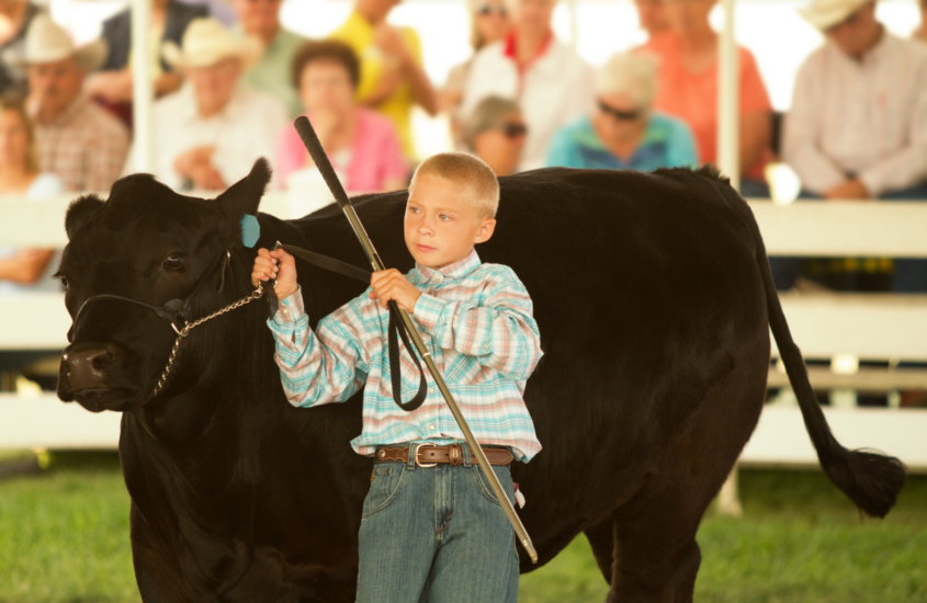 This Meat Comes With a Handshake, a Story, and a Kid Who Earned It