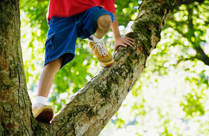 Running Toward Wonder: Why Our Kids Are Desperate to Feel Alive