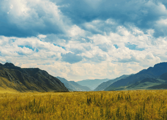 photo of a mountain and valley landscape with blue and white fluffy clouds and a yellow grass field