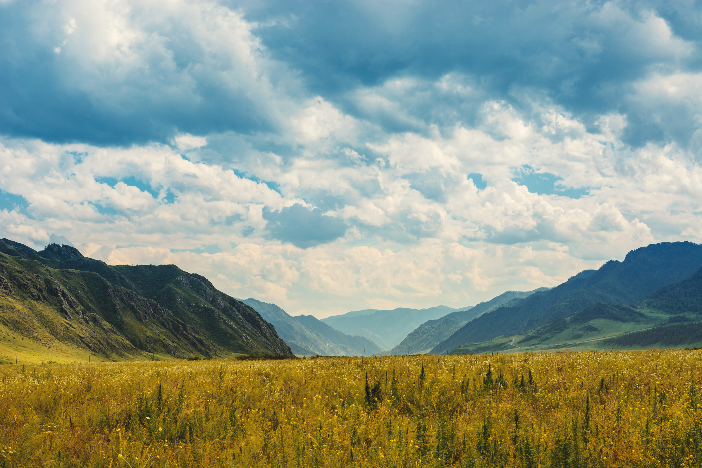 photo of a mountain and valley landscape with blue and white fluffy clouds and a yellow grass field