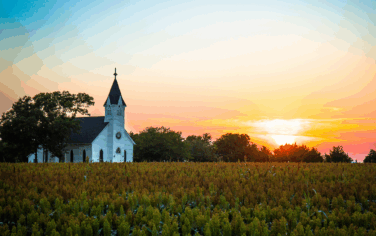 white steepled church in a field at sunset