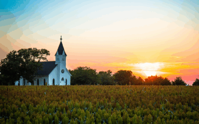 white steepled church in a field at sunset