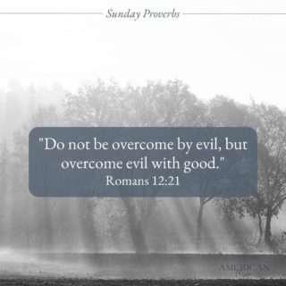 “Do not be overcome by evil, but overcome evil with good.” -Romans 12:21
.
.
.
.
#weareamericanmom #americanmom #americanmomstrong #faith #pray #bibleverse #Romans1221 #overcomeevilwithgood #goodoverevil

PC: Unsplash